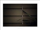 dailyPhoto9