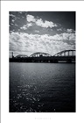 dailyPhoto5