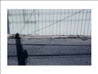dailyPhoto39