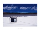 dailyPhoto13