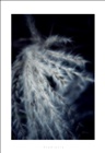 dailyPhoto24