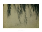 dailyPhoto9