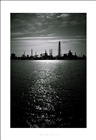 dailyPhoto1