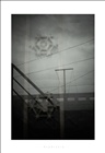 dailyPhoto28