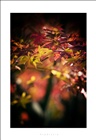 dailyPhoto15