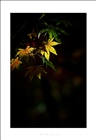 dailyPhoto4
