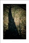 dailyPhoto9