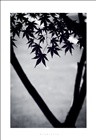 dailyPhoto9