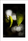 dailyPhoto27