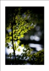 dailyPhoto23
