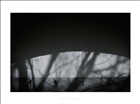 dailyPhoto22