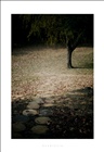 dailyPhoto28