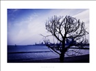 dailyPhoto9