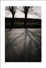 dailyPhoto40