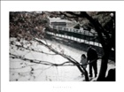 dailyPhoto26