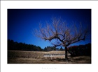 dailyPhoto3