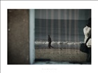 dailyPhoto14