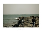 dailyPhoto33