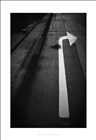 dailyPhoto30