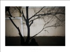 dailyPhoto40
