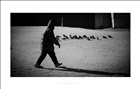 dailyPhoto10