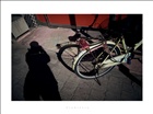 dailyPhoto25