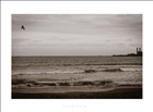 dailyPhoto14