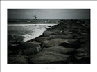 dailyPhoto32