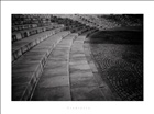 dailyPhoto10