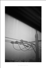 dailyPhoto29