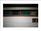 dailyPhoto2