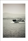 dailyPhoto30