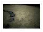 dailyPhoto22