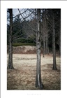 dailyPhoto37