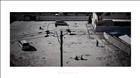 dailyPhoto11