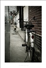dailyPhoto28