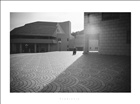 dailyPhoto39