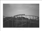 dailyPhoto29