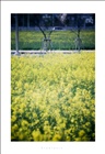 dailyPhoto12