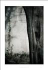 dailyPhoto4