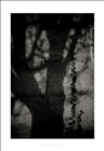 dailyPhoto5