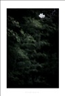 dailyPhoto29