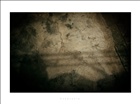dailyPhoto22