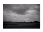 dailyPhoto3