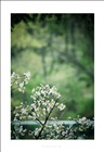 dailyPhoto15