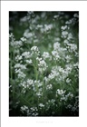 dailyPhoto23