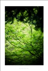 dailyPhoto15