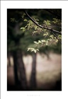 dailyPhoto34