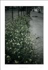 dailyPhoto27