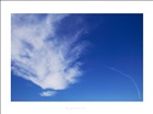 dailyPhoto10
